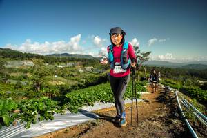 BIB: 1026
                            <button type="button" onclick="openModal(19124722)" class="btn btn-primary btn-sm float-right btn-popup" data-toggle="modal" data-target=".modal-high-quality">
                        <i class="fas fa-shopping-cart"></i> Add to Cart
                    </button>
                                            <button type="button" onclick="isThisMe(19124722, true)" class="btn btn-success btn-sm float-right btn-popup btn-isme hidden" data-toggle="tooltip" data-placement="bottom" title="นี่คือรูปของคุณใช่ไหม คลิกที่นี่เพื่อเอาเข้าอัลบั้ม">
                        <i class="fas fa-plus"></i> Add to album
                    </button>
                    <button type="button" onclick="isThisMe(19124722, false)" class="btn btn-warning btn-sm float-right btn-popup btn-isnotme hidden">
                        <i class="fas fa-ban"></i> Remove from album
                    </button>